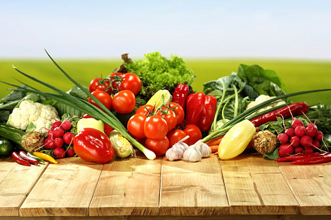 В Ассоциации «Теплицы России» заявили о готовности зафиксировать отпускные цены на овощи
