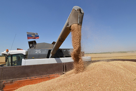 В России начались проблемы с экспортом пшеницы из-за проверок на таможне